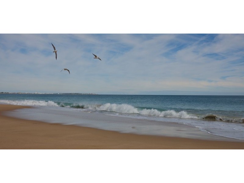 11 Victor Drive, Madora Bay WA 6210