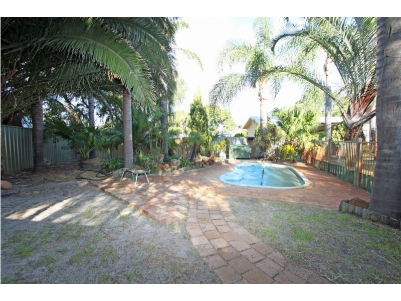 3 Janice Avenue, Falcon WA 6210