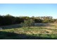 23 Catalpa Place, Falcon WA 6210