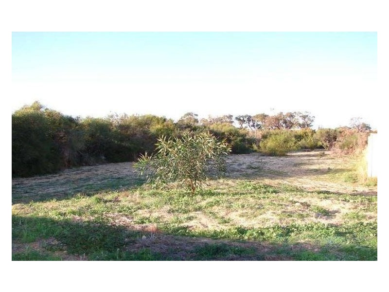 23 Catalpa Place, Falcon WA 6210