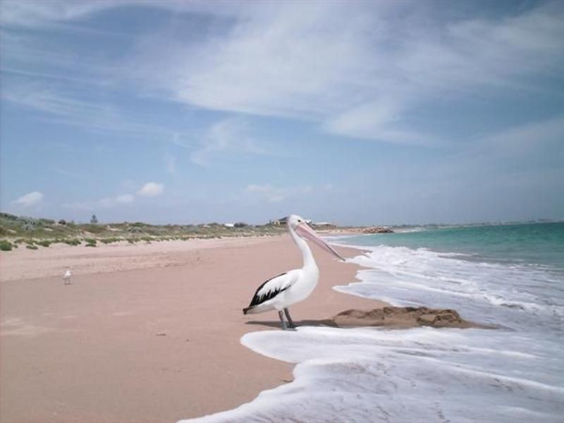 8 George Hibbert Road, Madora Bay WA 6210