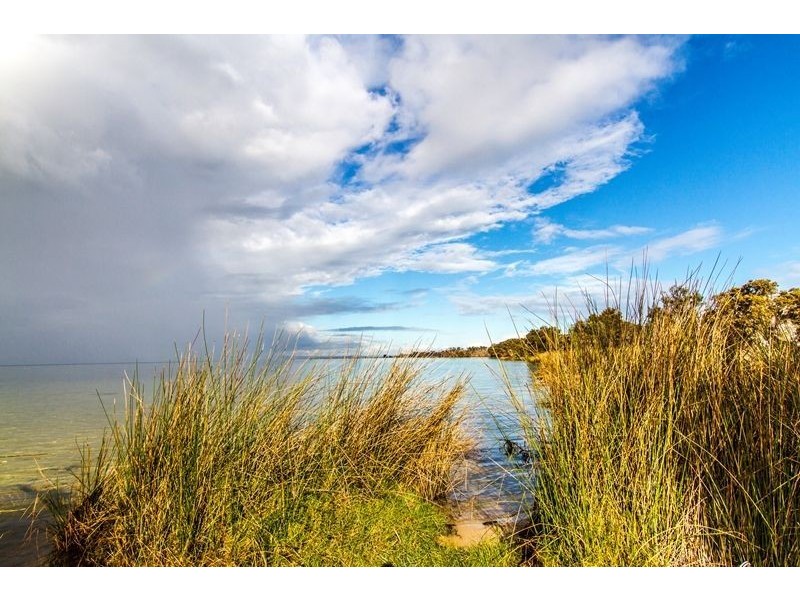 6 Nutbush Avenue, Falcon WA 6210