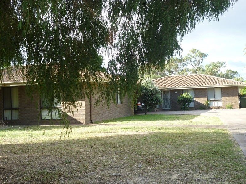 1/2 Sandalwood Parade, Halls Head WA 6210