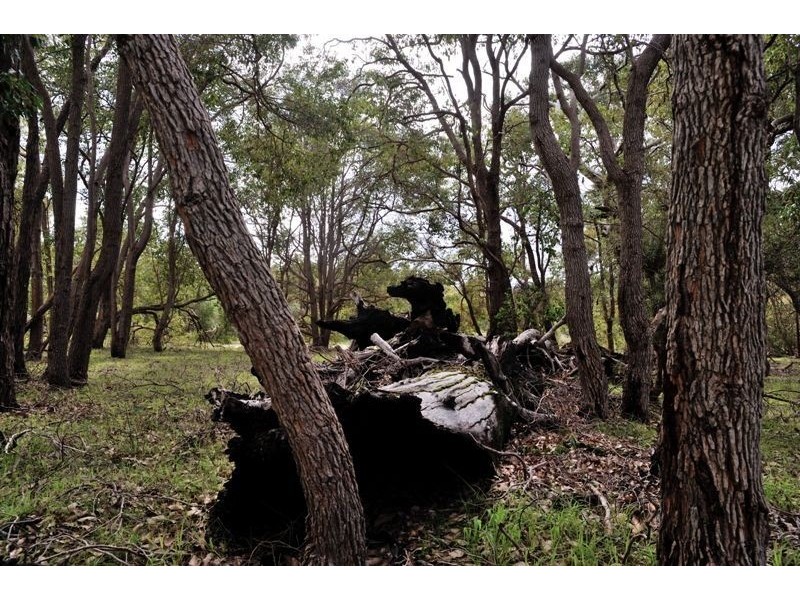 Lot 139 Ramahan Rise, Lake Clifton WA 6215