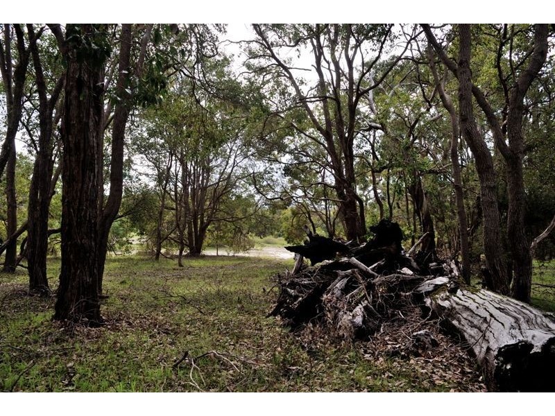 Lot 139 Ramahan Rise, Lake Clifton WA 6215