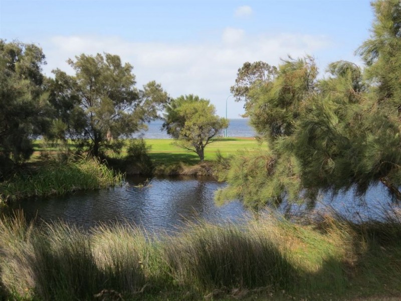 16 Governor Drive, Falcon WA 6210