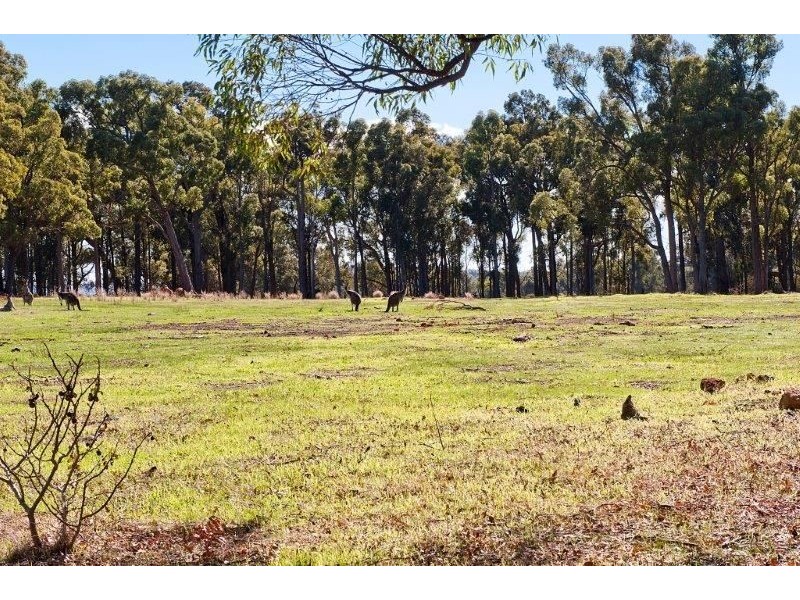 Lot 52 Banbar View, Waroona WA 6215