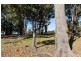 Lot 51 Banbar View, Waroona WA 6215