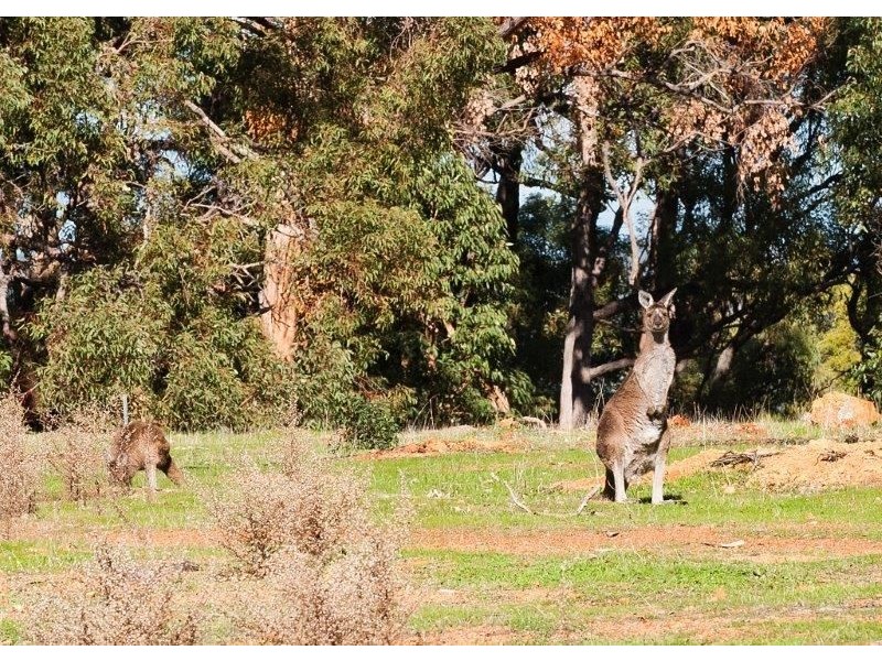 Lot 51 Banbar View, Waroona WA 6215