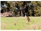 Lot 51 Banbar View, Waroona WA 6215