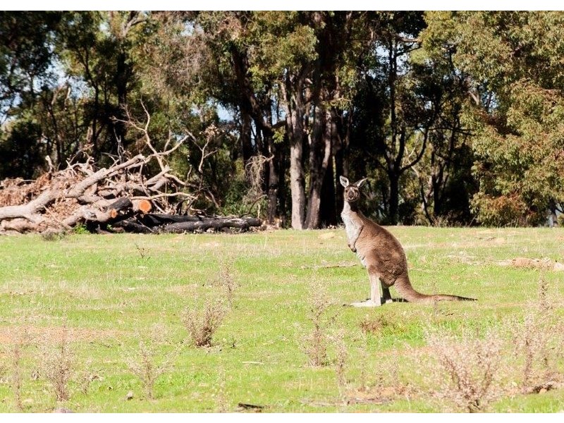 Lot 51 Banbar View, Waroona WA 6215