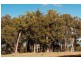 Lot 54 Banbar View, Waroona WA 6215