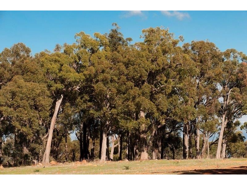 Lot 54 Banbar View, Waroona WA 6215
