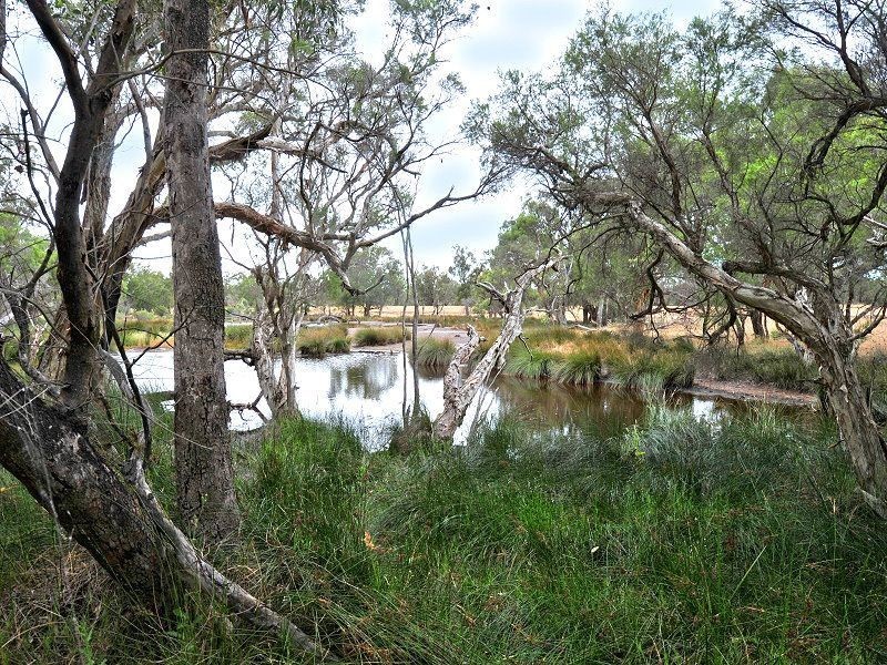 Lot 819 Thomasfield Place, Ravenswood WA 6208