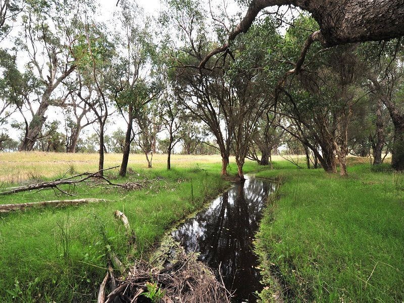 Lot 819 Thomasfield Place, Ravenswood WA 6208