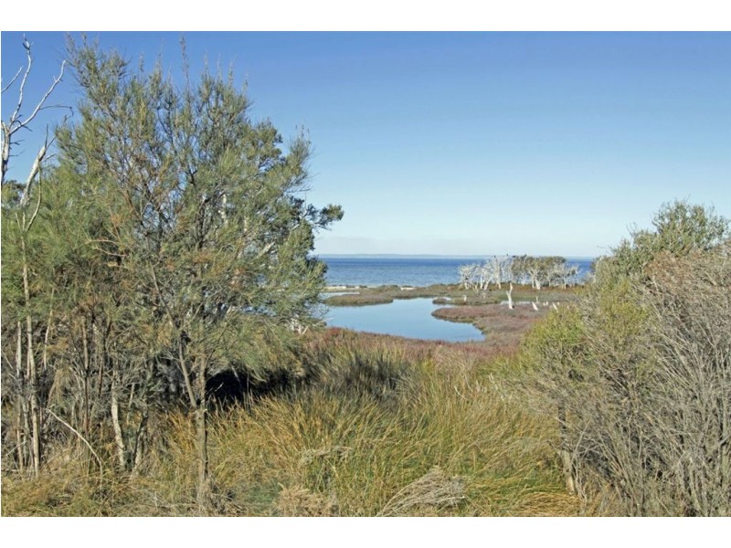 53 Flinders Street, Falcon WA 6210