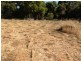 29 Sundercombe Loop, Waroona WA 6215