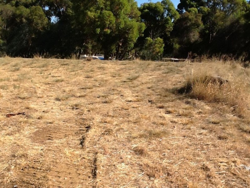 52 Logue Street, Waroona WA 6215