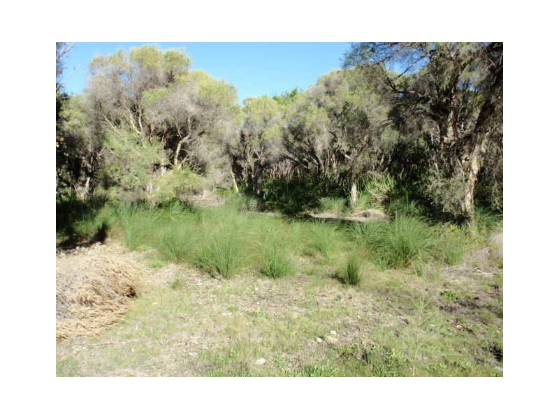 Lot 4 Newnham Road, Lake Clifton WA 6215