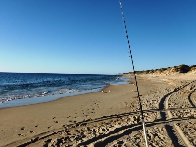 3 Bouvard Place, Preston Beach WA 6215