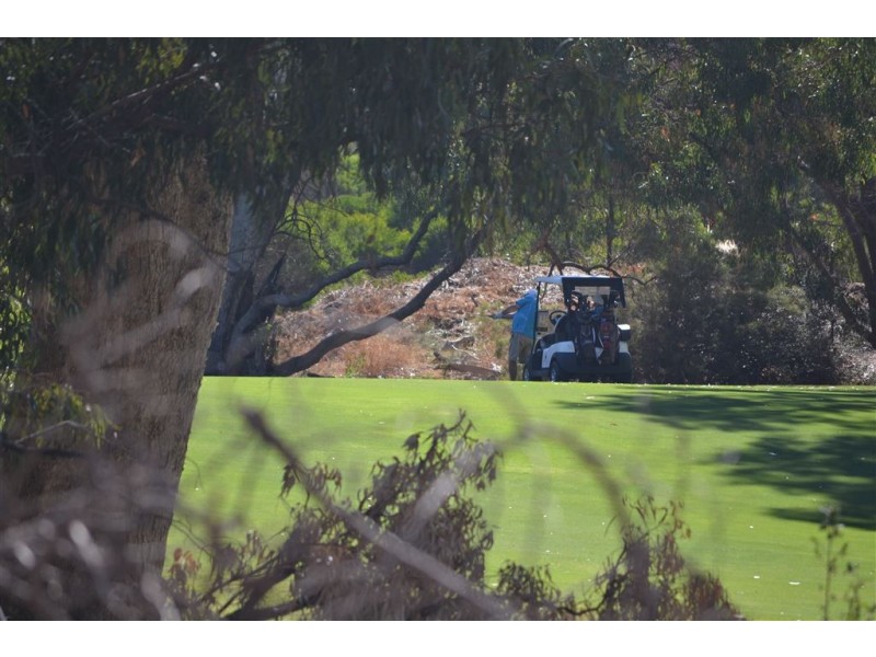 83 Camden Way, Meadow Springs WA 6210