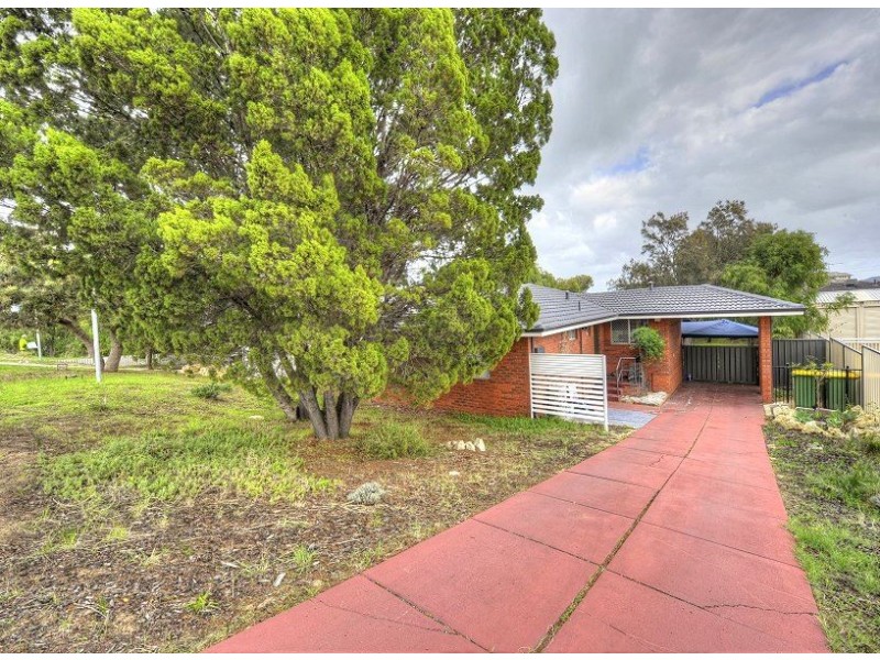 22 Scrivener Place, Halls Head WA 6210