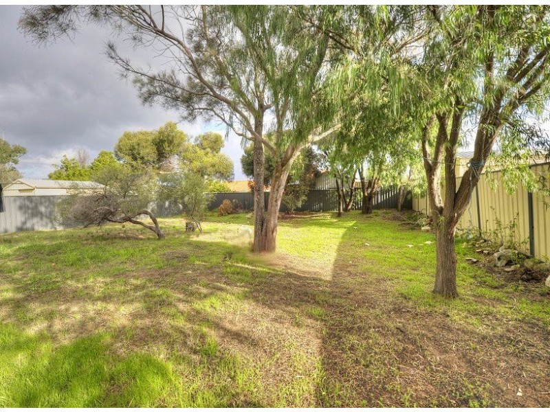 22 Scrivener Place, Halls Head WA 6210
