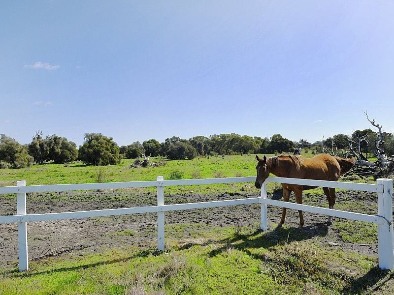 552 Dirk Hartog Drive, Nambeelup WA 6207