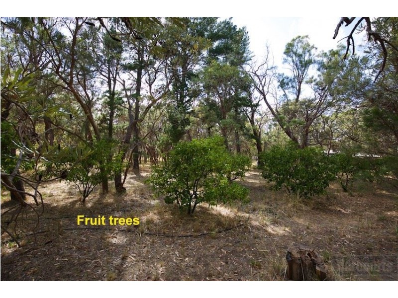 101 Red Road, Parklands WA 6180