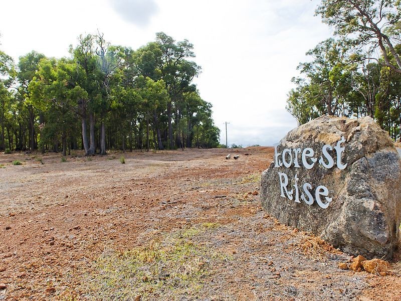 93 Leavy Road, Waroona WA 6215