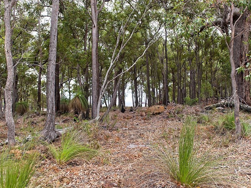 93 Leavy Road, Waroona WA 6215