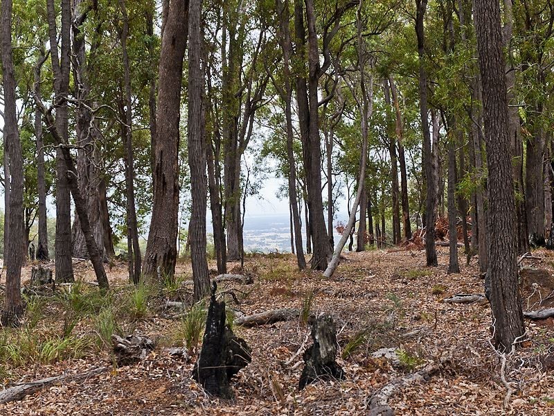 93 Leavy Road, Waroona WA 6215