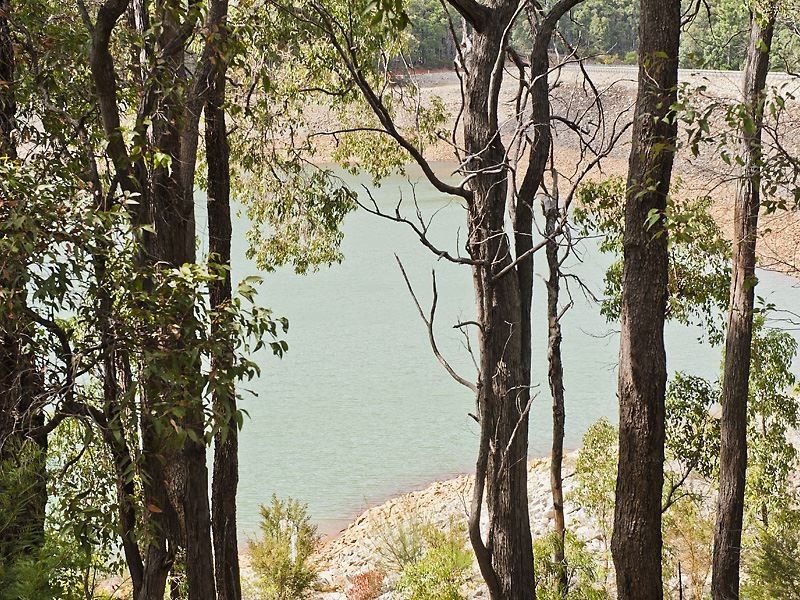 93 Leavy Road, Waroona WA 6215