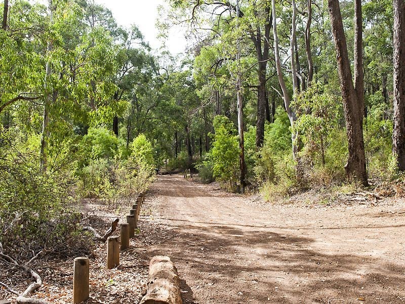 93 Leavy Road, Waroona WA 6215