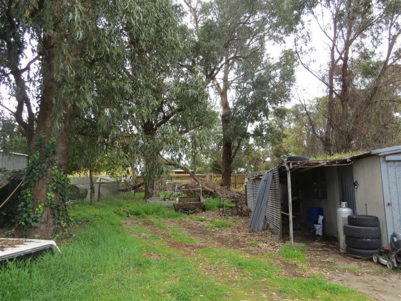 56 Koolinda Street, Falcon WA 6210