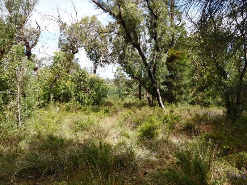 30 Thompson Crescent, Lake Clifton WA 6215