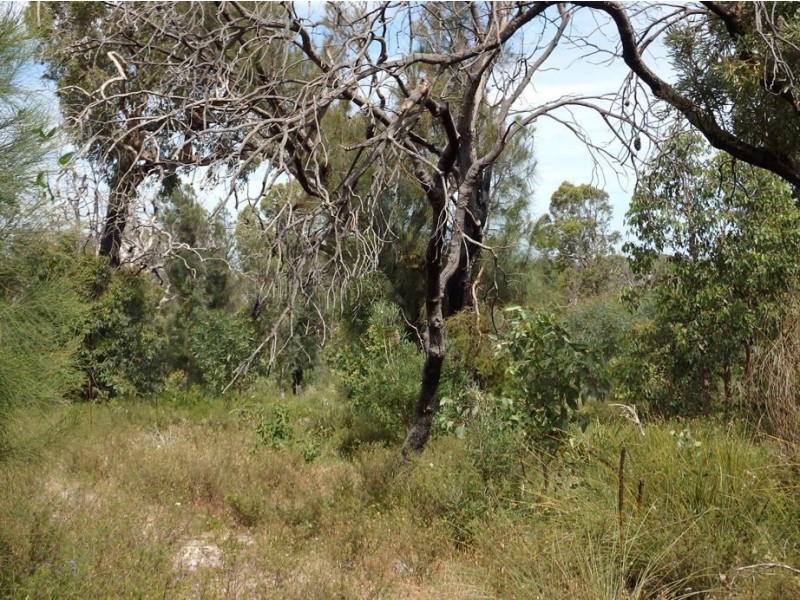 30 Thompson Crescent, Lake Clifton WA 6215