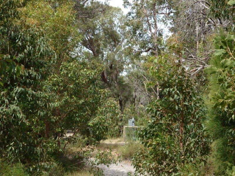 30 Thompson Crescent, Lake Clifton WA 6215