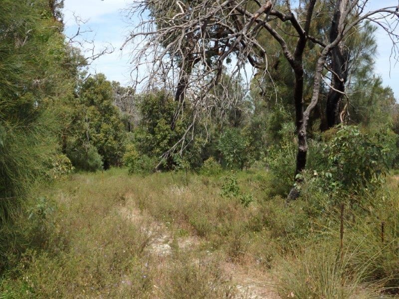 30 Thompson Crescent, Lake Clifton WA 6215