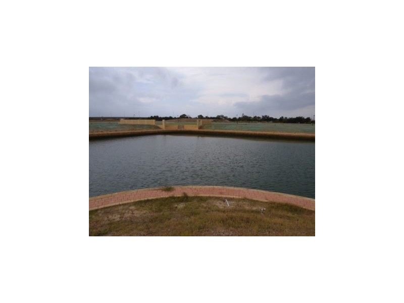 77 Midas Retreat, Dudley Park WA 6210