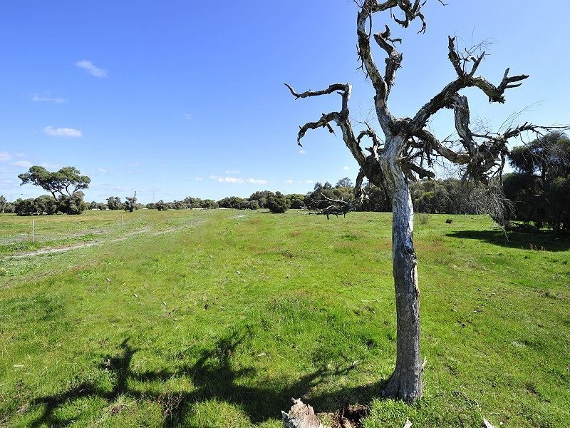 Lot 544 Dirk Hartog Drive, Nambeelup WA 6207