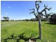 Lot 545 Dirk Hartog Drive, Nambeelup WA 6207