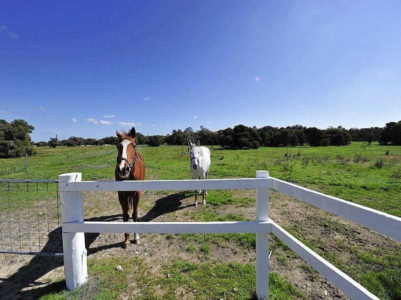 Lot 545 Dirk Hartog Drive, Nambeelup WA 6207