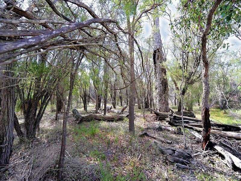 Lot 545 Dirk Hartog Drive, Nambeelup WA 6207