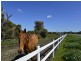 Lot 545 Dirk Hartog Drive, Nambeelup WA 6207
