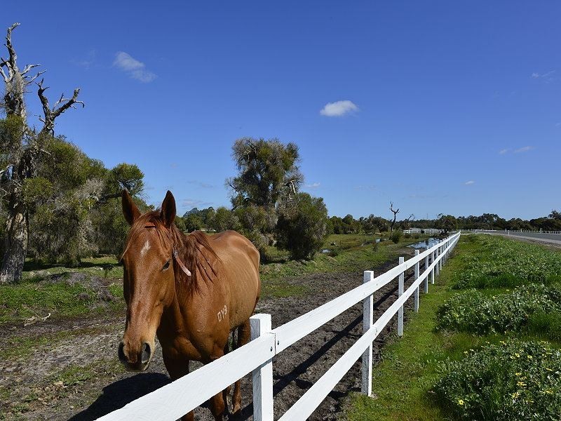 Lot 545 Dirk Hartog Drive, Nambeelup WA 6207