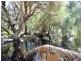 Lot 545 Dirk Hartog Drive, Nambeelup WA 6207