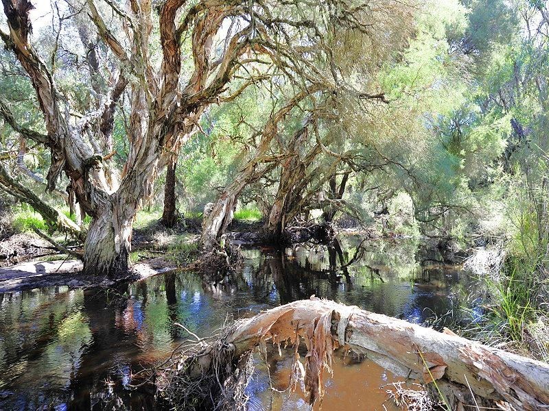 Lot 545 Dirk Hartog Drive, Nambeelup WA 6207