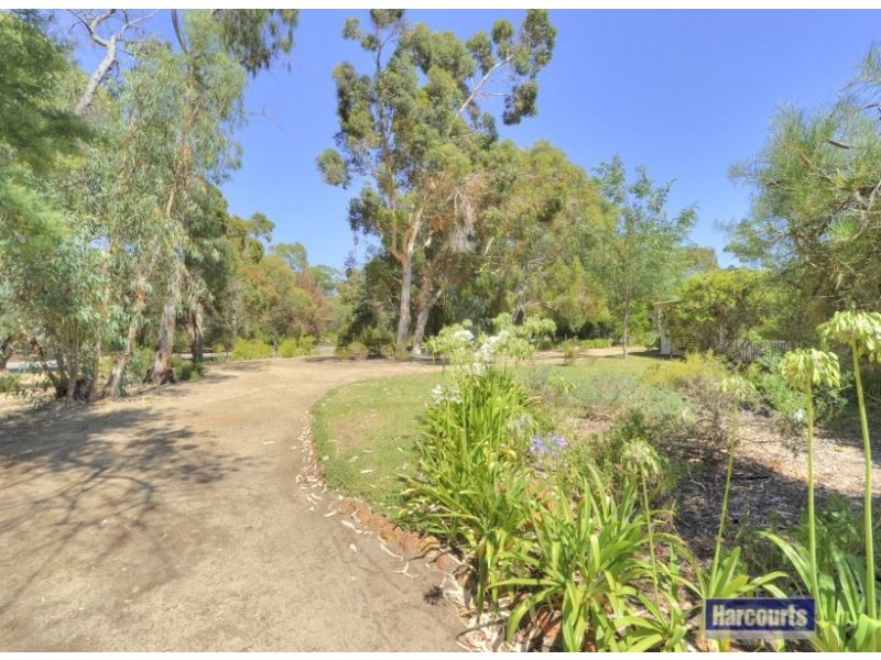 31 Nutbush Avenue, Falcon WA 6210