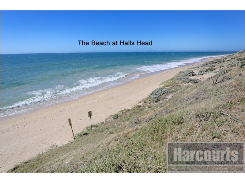 18 Calytrix Way, Halls Head WA 6210